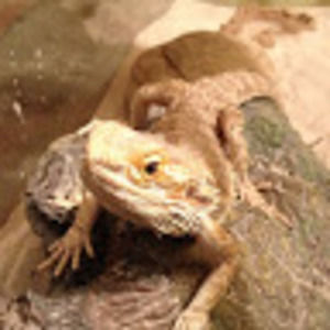 Meet your Posher, Jorge